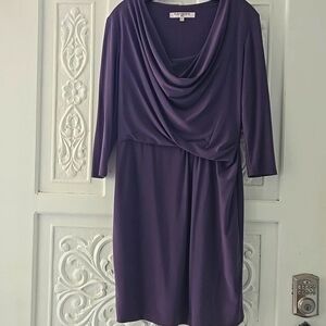 Evan Picone Shift Dress Size 10P Plum
